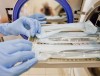 Соблюдение правил безопасности и личная ответственность