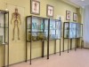 В День знаний в Гродненском государственном медицинском университете открыли обновленную кафедру анатомии