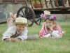 Гродненская областная организация БПРЗ подвела итоги отборочного этапа конкурса «Гродненщина – наш общий дом»