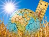 «Горячая линия» по соблюдению температурного режима на рабочих местах