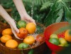 ЧЕМ МЫТЬ ОВОЩИ И ФРУКТЫ, ЧТОБЫ УДАЛИТЬ ВРЕДНЫЕ ВЕЩЕСТВА? 