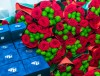 НАГРАДА ЗА ТРУД: ВО ДВОРЦЕ КУЛЬТУРЫ ПРОФСОЮЗОВ ПРОШЛА ТОРЖЕСТВЕННАЯ ЦЕРЕМОНИЯ НАГРАЖДЕНИЯ  
