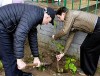 11 октября, в день старта масштабной кампании по озеленению, приуроченной к Году благоустройства, на территории Войневичского ФАПа появились кусты сирени