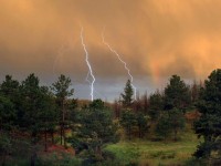 СУХАЯ ГРОЗА СТАЛА ПРИЧИНОЙ ЛЕСНЫХ ПОЖАРОВ В БРЕСТСКОЙ ОБЛАСТИ