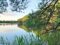 С НАЧАЛА ГОДА НА ВОДОЕМАХ ГРОДНЕНСКОЙ ОБЛАСТИ ПОГИБЛИ 15 ЧЕЛОВЕК