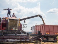 БЕЗОПАСНАЯ ЖАТВА. ЗА ОХРАНОЙ ТРУДА СЛЕДЯТ ПРОФСОЮЗЫ