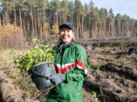 ПРОФСОЮЗЫ ОЗЕЛЕНИЛИ БОЛЕЕ 75 ГЕКТАРОВ В РАМКАХ АКЦИИ «ДАЙ ЛЕСУ НОВАЕ ЖЫЦЦЕ!»  