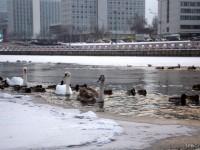 БУДУТ ЛИ СНЕГ И МОРОЗЫ? РАССКАЗЫВАЕМ, КАКАЯ ПОГОДА ОЖИДАЕТСЯ В БЕЛАРУСИ С 10 ПО 16 ФЕВРАЛЯ