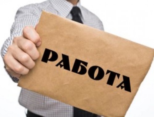 В профессию – по призванию