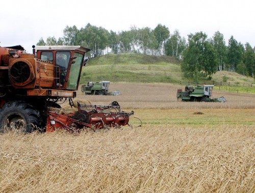ПРОЕКТ «МОЛОДЕЖЬ ЗА УРОЖАЙ!»: ВЫБЕРУТ ЛУЧШИХ МОЛОДЫХ КОМБАЙНЕРОВ И ВОДИТЕЛЕЙ