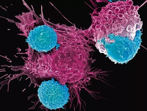 КОД ПРОТИВ РАКА. КАК БЕЛОРУССКИЕ УЧЕНЫЕ ИСПОЛЬЗУЮТ ТЕХНОЛОГИЮ ЛЕЧЕНИЯ, КОТОРОЙ НЕТ АНАЛОГОВ В СНГ