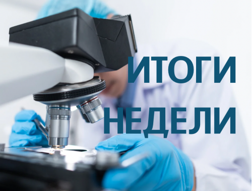 Подготовка к туристическому форуму «Открой Беларусь», интеллектуальная игра «Премедикация», телепроект «Звездный путь»…