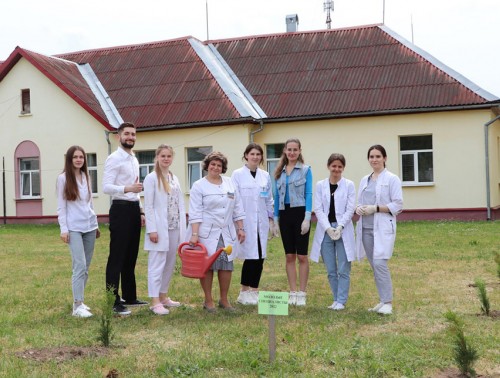 Молодые специалисты Берестовицкой ЦРБ заложили на территории больницы декоративный сад