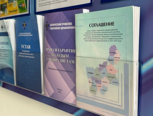 В Гродно на заседании руководящего органа областной организации профсоюза здравоохранения подвели итоги выполнения Областного соглашения