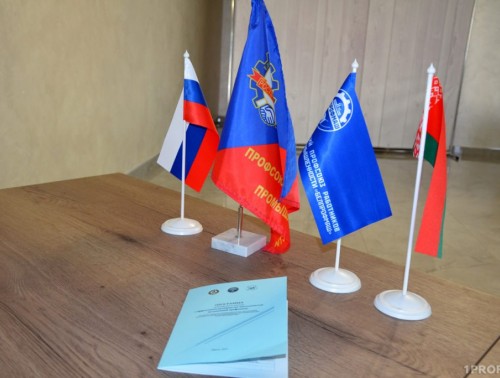 «С НАМИ РАБОТОДАТЕЛИ ВСЕГДА СОГЛАШАЮТСЯ». КАК РОССИЙСКИЕ КОЛЛЕГИ СЛЕДЯТ ЗА ОХРАНОЙ ТРУДА