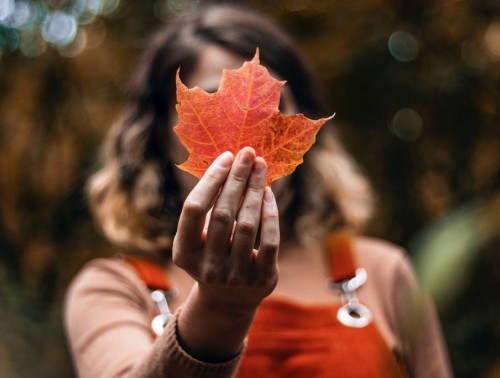 ОСЕННЕЕ РАВНОДЕНСТВИЕ-2023: КОГДА НАСТУПИТ, КАКИЕ ПРИМЕТЫ И ЗАПРЕТЫ СВЯЗАНЫ С ЭТОЙ ДАТОЙ