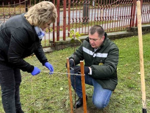 На территории областной детской больницы ко Дню отца заложили еще один зеленый уголок