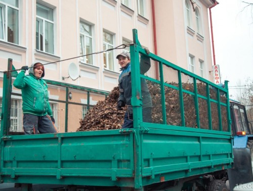 ОПАВШАЯ ЛИСТВА: ЗАЧЕМ УБИРАТЬ И КАК ЕЕ ПЕРЕРАБАТЫВАЮТ