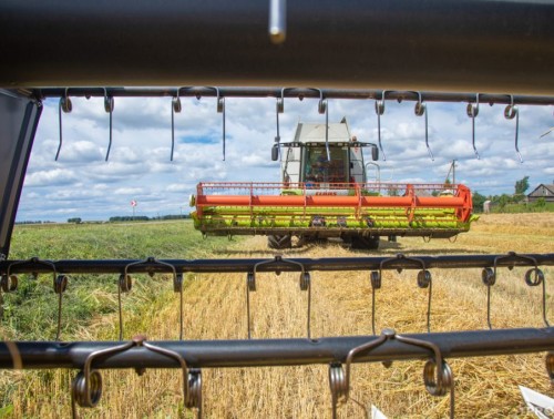 В БЕЛАРУСИ СОБРАНО БОЛЕЕ 9,5 МЛН ТОНН ЗЕРНА, ВКЛЮЧАЯ РАПС. ПОГОДА НЕ СТАЛА ПОМЕХОЙ