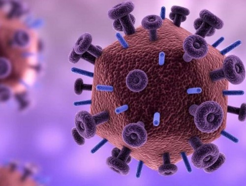 В 2023 Г. В БЕЛАРУСИ СНИЗИЛСЯ ПОКАЗАТЕЛЬ ЗАБОЛЕВАЕМОСТИ ВИЧ