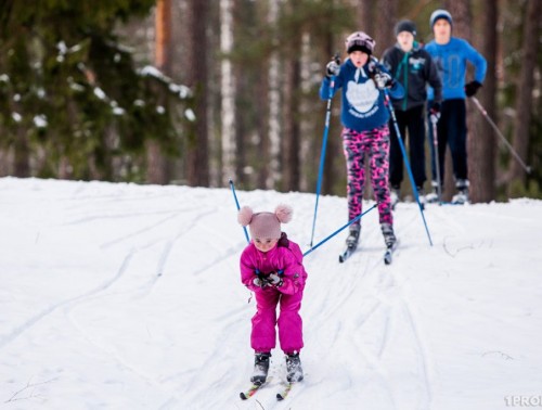 КАК ВЫБРАТЬ ЛЫЖИ, И ГДЕ ПОКАТАТЬСЯ В БЕЛАРУСИ В 2024 ГОДУ