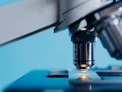 ЛУННАЯ ПРОГРАММА, ДНК-ПЛАЗМИДЫ, БЕЛОРУССКИЕ ЭЛЕКТРОКАРЫ: В ЧЕМ ЕЩЕ ПРЕУСПЕЛИ ОТЕЧЕСТВЕННЫЕ УЧЕНЫЕ