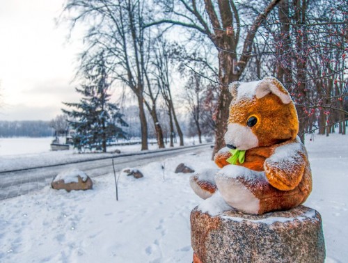 КАК БЫТЬ, ЕСЛИ НА РАБОТЕ ХОЛОДНО И КОМФОРТА НИКАКОГО? ПРОДОЛЖАТЬ ТЕРПЕТЬ ИЛИ ПОПРОБОВАТЬ ПОСТОЯТЬ ЗА СЕБЯ?