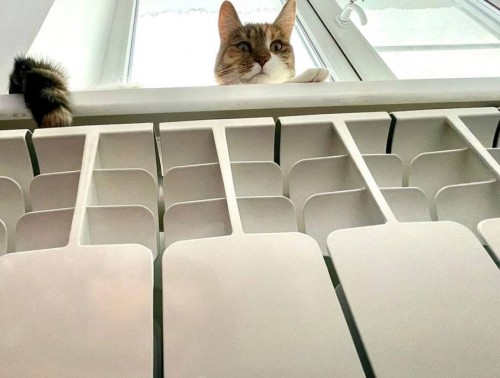 В БЕЛАРУСЬ ПРИШЛО ВЕСЕННЕЕ ТЕПЛО. КОГДА ОТКЛЮЧАТ ОТОПЛЕНИЕ, РАССКАЗАЛИ В МИНЭНЕРГО