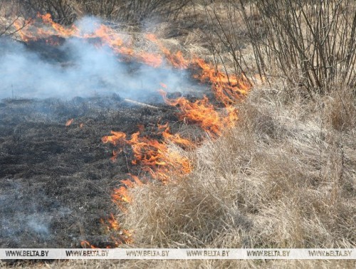 В ГРОДНЕНСКОЙ ОБЛАСТИ СПАСАТЕЛИ ДВАЖДЫ ЗА МИНУВШИЕ ВЫХОДНЫЕ ТУШИЛИ ВЕСЕННИЕ ПАЛЫ