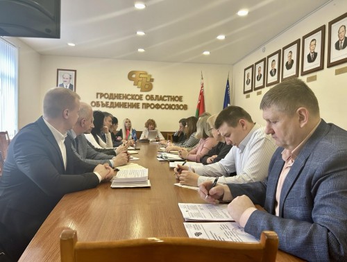 В ОБЛАСТНЫХ ПРОФСОЮЗАХ СОСТОЯЛОСЬ ЗАСЕДАНИЕ ПО ВОПРОСАМ СОЦИАЛЬНОГО ПАРТНЕРСТВА И ТРУДОВЫХ ОТНОШЕНИЙ
