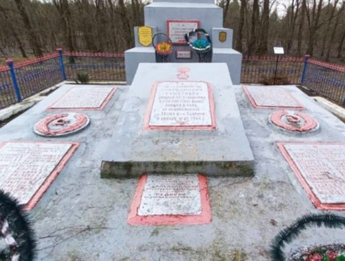 МОЛОДЫЕ МЕДИКИ ЧЕТЫРЕХ СТРАН БУДУТ РАБОТАТЬ НА БЛАГОУСТРОЙСТВЕ МЕМОРИАЛА В ОЗАРИЧАХ