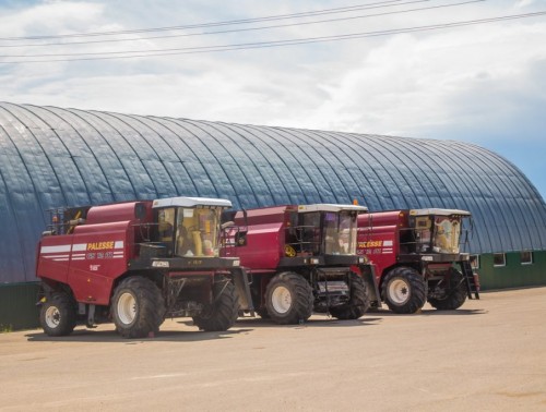 БОЛЕЕ 3000 НАРУШЕНИЙ ОХРАНЫ ТРУДА ВЫЯВЛЕНО ПРОФСОЮЗАМИ С НАЧАЛА ПОСЕВНОЙ КАМПАНИИ