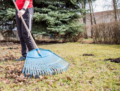 РЕСПУБЛИКАНСКИЙ СУББОТНИК ПРОЙДЕТ 20 АПРЕЛЯ