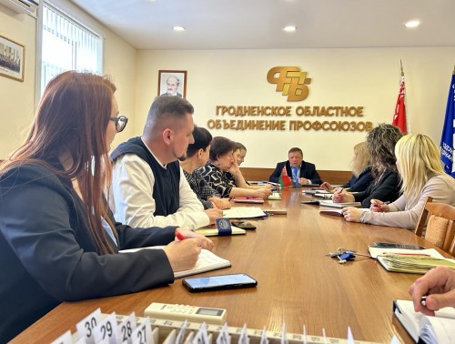СОВЕТНИК ОБЛАСТНОГО ОБЪЕДИНЕНИЯ ПРОФСОЮЗОВ БОРИС КОЗЕЛКОВ ПРОВЕЛ ЗАСЕДАНИЕ КООРДИНАЦИОННОГО СОВЕТА ПО ИНФОРМАЦИОННОЙ РАБОТЕ