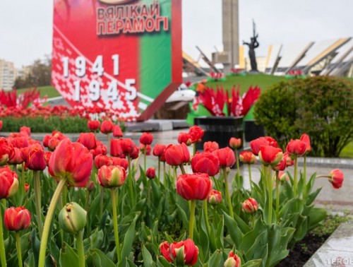 МАТЕРИАЛЬНУЮ ПОМОЩЬ КО ДНЮ ПОБЕДЫ НАЧНУТ ВЫПЛАЧИВАТЬ 25 АПРЕЛЯ