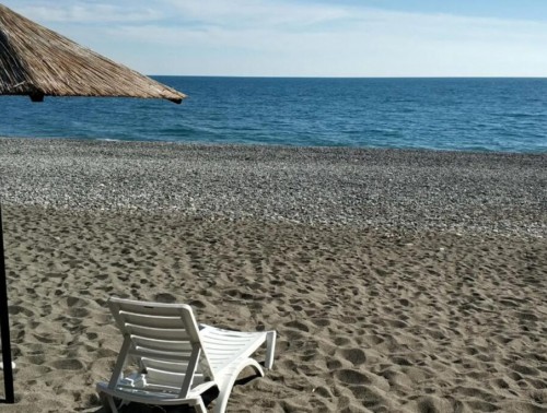 ИСПЫТАТЕЛЬНЫЙ СРОК, НЕИСПОЛЬЗУЕМЫЙ ОТПУСК. С КАКИМИ ВОПРОСАМИ ЛЮДИ ОБРАЩАЮТСЯ В ПРОФСОЮЗ