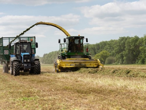КОМФОРТНЫЕ УСЛОВИЯ ТРУДА И ДОПЛАТЫ МОЛОДЫМ СПЕЦИАЛИСТАМ. КАК МЕНЯЕТСЯ СФЕРА СЕЛЬСКОГО ХОЗЯЙСТВА