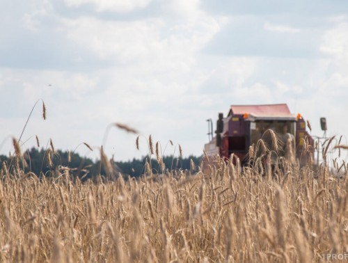 ПЕРВЫЕ ЗВОНКИ ПРИНЯЛА «ГОРЯЧАЯ ЛИНИЯ» ПО ОХРАНЕ И УСЛОВИЯМ ТРУДА УЧАСТНИКОВ ЖАТВЫ  