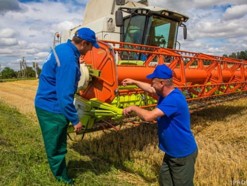 ПРОФСОЮЗЫ АКТИВНО УЧАСТВУЮТ В УБОРОЧНОЙ КАМПАНИИ