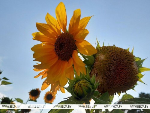 ПОТЕПЛЕНИЕ ДО +33°С ОБЕЩАЮТ СИНОПТИКИ НА ВЫХОДНЫХ И В НАЧАЛЕ СЛЕДУЮЩЕЙ НЕДЕЛИ