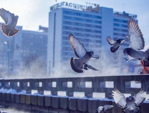 ПРОФСОЮЗЫ: ОБРАЩЕНИЙ ОТ РАБОТНИКОВ ПО УСЛОВИЯМ ТРУДА В ХОЛОДНЫЙ ПЕРИОД ГОДА В ЭТОМ СЕЗОНЕ ЕЩЕ НЕ ПОСТУПАЛО