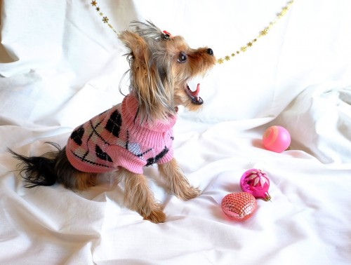 КАК БЕЛОРУСЫ БУДУТ ОТДЫХАТЬ И РАБОТАТЬ В ЯНВАРЕ?