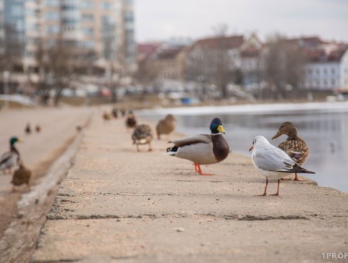 ПРОШЕДШАЯ ЗИМА ВОШЛА В ШЕСТЕРКУ САМЫХ ТЕПЛЫХ