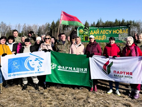 Вблизи Новой Гожи гродненские фармацевты высадили порядка 10 тысяч саженцев деревьев