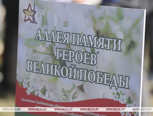 АЛЛЕЯ ПАМЯТИ ГЕРОЕВ ВЕЛИКОЙ ПОБЕДЫ ПОЯВИЛАСЬ В МОЛОДОМ МИКРОРАЙОНЕ ГРОДНО