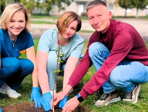 Год благоустройства: Дятловские медики высадили молодые деревья на территории райбольницы
