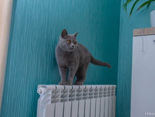 НЕЛАСКОВЫЙ МАЙ: СИНОПТИКИ ОБЕЩАЮТ ХОЛОДНУЮ И ДОЖДЛИВУЮ ПОГОДУ С 5 ПО 11 МАЯ