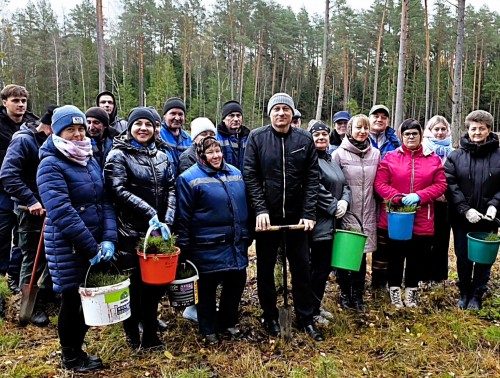 Дятловские медики завершили акцию «Дай лесу новае жыццё»