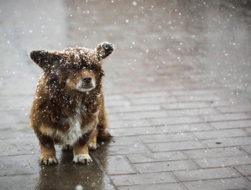КАКОЙ БУДЕТ ПОГОДА НА ВЫХОДНЫХ В БЕЛАРУСИ 6 И 7 ДЕКАБРЯ 