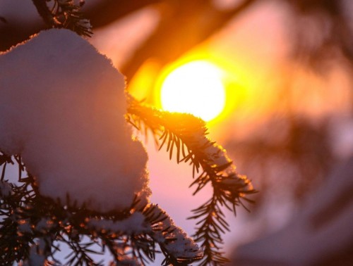 КОГДА БУДЕТ САМЫЙ КОРОТКИЙ ДЕНЬ В 2025 ГОДУ? ЗИМНЕЕ СОЛНЦЕСТОЯНИЕ СКОРО НАСТУПИТ  